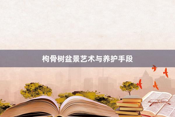 枸骨树盆景艺术与养护手段