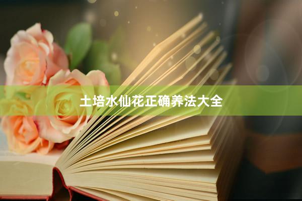 土培水仙花正确养法大全