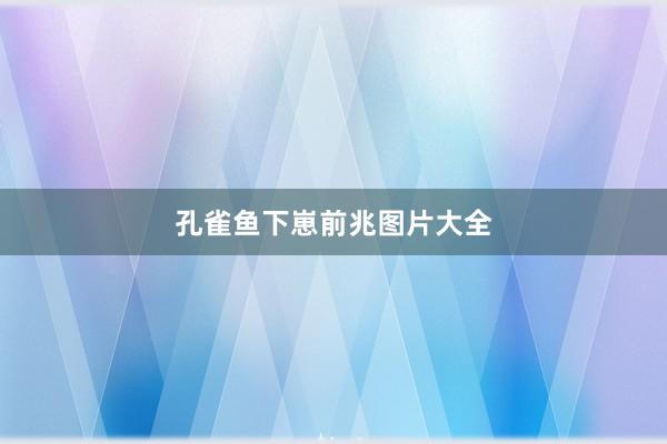孔雀鱼下崽前兆图片大全